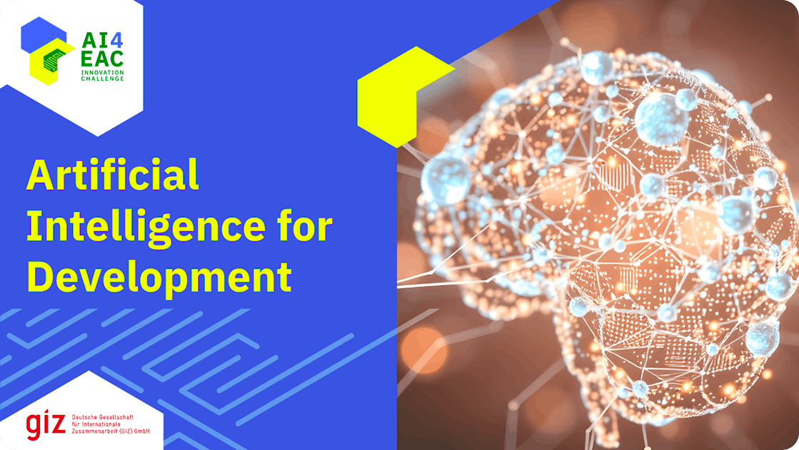 Artificial Intelligence for Development Course